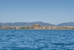 Palma de Mallorca: 5-stündige Katamaran-Kreuzfahrt mit Mittagessen und Schwimmen