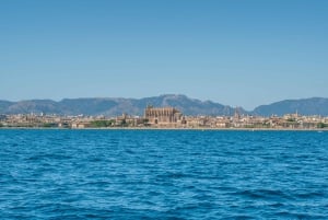 Palma de Mallorca: 5-stündige Katamaranfahrt mit Mittagessen und Schwimmen
