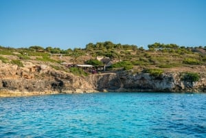 Palma de Mallorca: 5-stündige Katamaranfahrt mit Mittagessen und Schwimmen