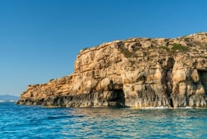 Palma de Mallorca: 5-stündige Katamaranfahrt mit Mittagessen und Schwimmen