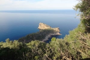 Palma de Mallorca 6-Hour Private Group Shore Excursion