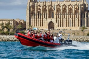 Palma de Majorque : visite touristique en bateau à moteur avec prise en charge