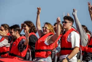 Palma di Maiorca: Esperienza adrenalinica in motoscafo