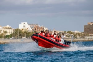 Palma di Maiorca: Esperienza adrenalinica in motoscafo