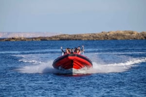 Palma de Mallorca: Adrenalin-oplevelse med speedbåd