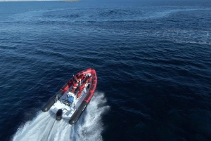 Palma de Mallorca: Adrenaline Speedboot ervaring