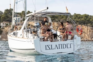 Private and exclusive cruise-ship cruise in the Bay of Palma and surrounding area