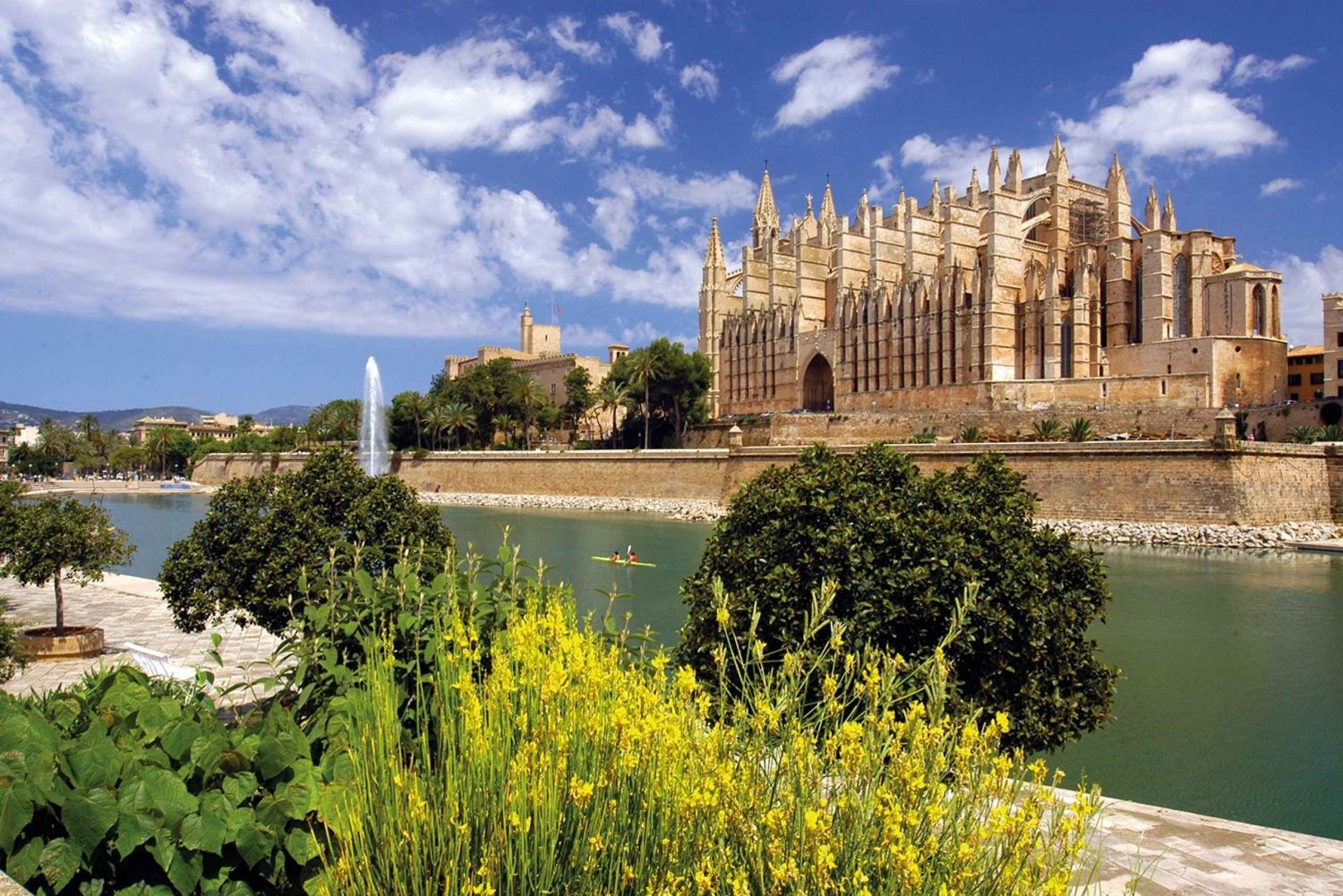 Palma di Maiorca: Tour della città a piedi con la Cattedrale
