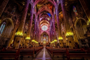 Palma de Mallorca: Excursão a pé pela cidade com a Catedral