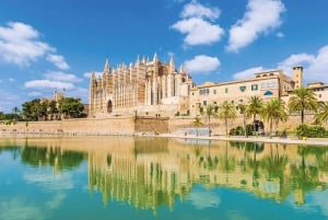 Palma de Mallorca: Tour a pie de la ciudad con la Catedral