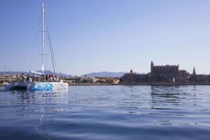 Palma de Mallorca: Deluxe seglingstur med katamaran och måltid