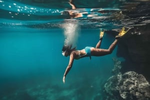 パルマ：スナック、ドリンク、SUP、シュノーケリング付きのデラックスカタマラン