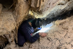 Palma de Mallorca: Es Marmols Cave Tour