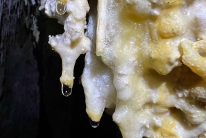 Palma de Mallorca : Visite de la grotte d'Es Marmols