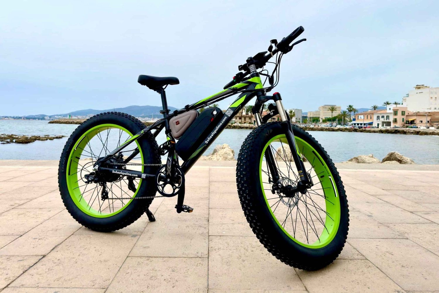 Palma de Mallorca: Eksklusiv udlejning af Fat Tire e-cykler