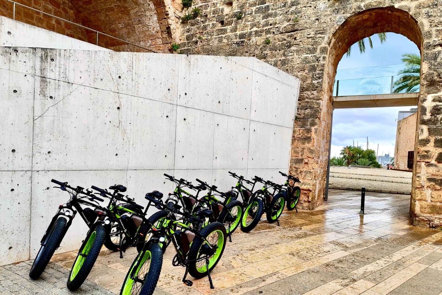 Palma de Mallorca: Exclusive Fat Tire e-Bike Rental