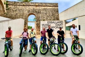 Palma de Mallorca: Eksklusiv udlejning af Fat Tire e-cykler