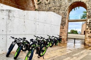 Palma de Mallorca: Eksklusiv udlejning af Fat Tire e-cykler