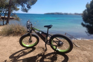 Palma de Mallorca: Eksklusiv udlejning af Fat Tire e-cykler