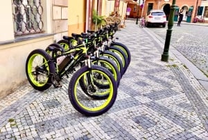 Palma de Mallorca: Eksklusiv udlejning af Fat Tire e-cykler