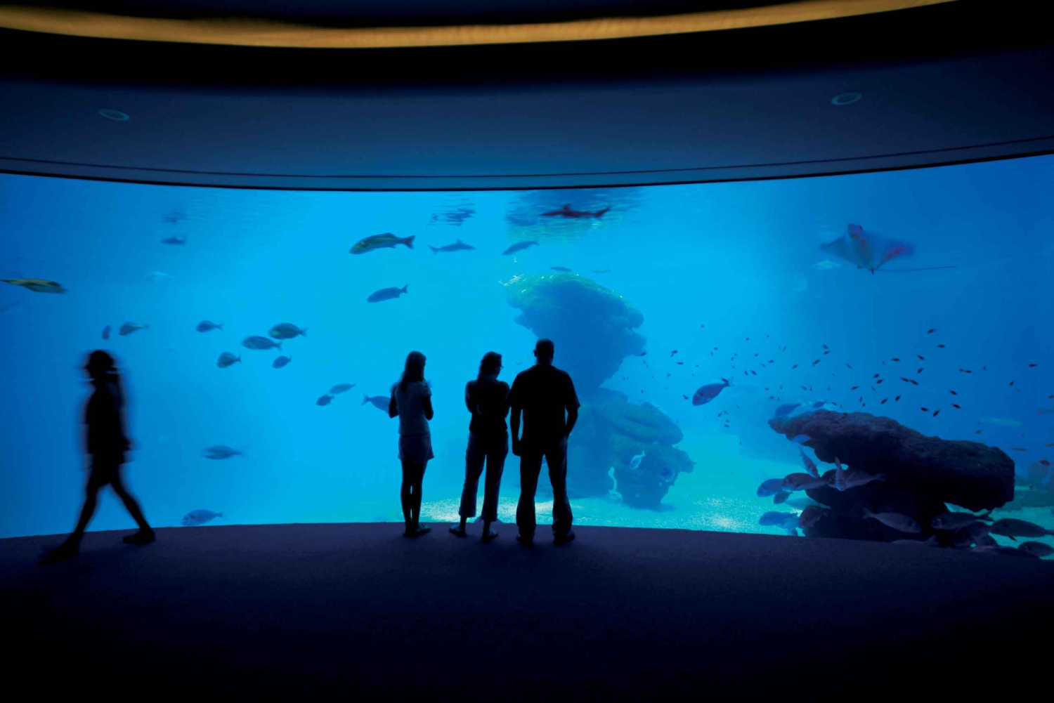 Palma de Mallorca: Full-Day Aquarium Tour