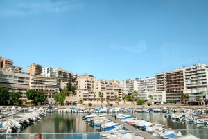 Palma de Mallorca: Full-Day Tour with Departure Options