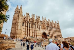 Palma de Mallorca: Heldagstur med afgangsmuligheder