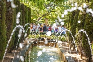 Palma de Mallorca: Heldagstur med afgangsmuligheder