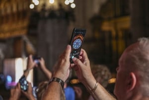 Palma de Mallorca: Heldagstur med afgangsmuligheder