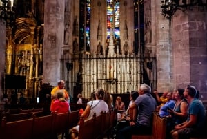 Palma de Mallorca: Heldagstur med afgangsmuligheder