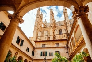 Palma de Mallorca: Heldagstur med afgangsmuligheder