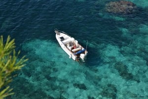 Palma de Majorque : Excursion en bateau d'une journée ou d'une demi-journée avec brunch