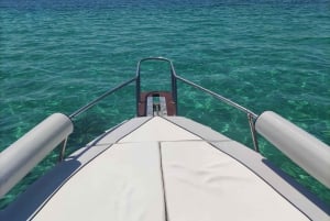 Palma de Mallorca: Ganz- oder halbtägige Bootsfahrt mit Brunch