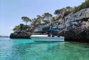 Palma de Mallorca: Ganz- oder halbtägige Bootsfahrt mit Brunch