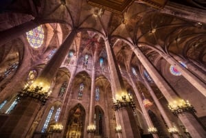 Palma de Mallorca: opastettu kierros, johon sisältyy sisäänpääsy katedraaliin ja ensaïmada.