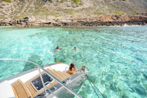 Palma de Mallorca: Half-Day Catamaran Tour with Buffet Meal