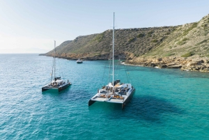 パルマ デ マヨルカ : ビュッフェ式食事付き半日カタマラン ツアー