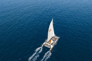 パルマ デ マヨルカ : ビュッフェ式食事付き半日カタマラン ツアー