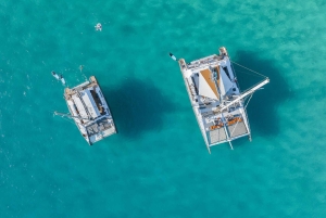 パルマ デ マヨルカ : ビュッフェ式食事付き半日カタマラン ツアー