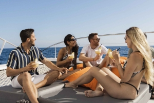 パルマ デ マヨルカ : ビュッフェ式食事付き半日カタマラン ツアー