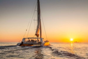 パルマ デ マヨルカ : ビュッフェ式食事付き半日カタマラン ツアー