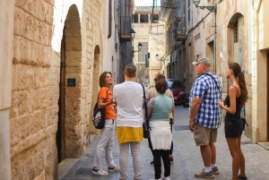 Palma de Mallorca Highlghts: 1,5-Hour Private Walking Tour
