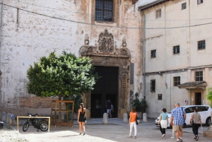 Palma de Mallorca Highlghts: 1,5-Hour Private Walking Tour