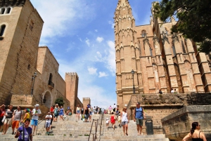 Palma de Mallorca Highlights: 1,5-Hour Private Walking Tour