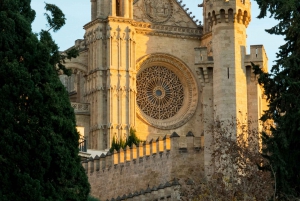 Palma : 'Histoire et beauté' - Excursion en E-Scooter écologique