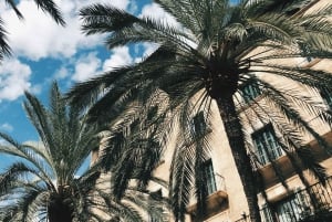 Palma : 'Histoire et beauté' - Excursion en E-Scooter écologique