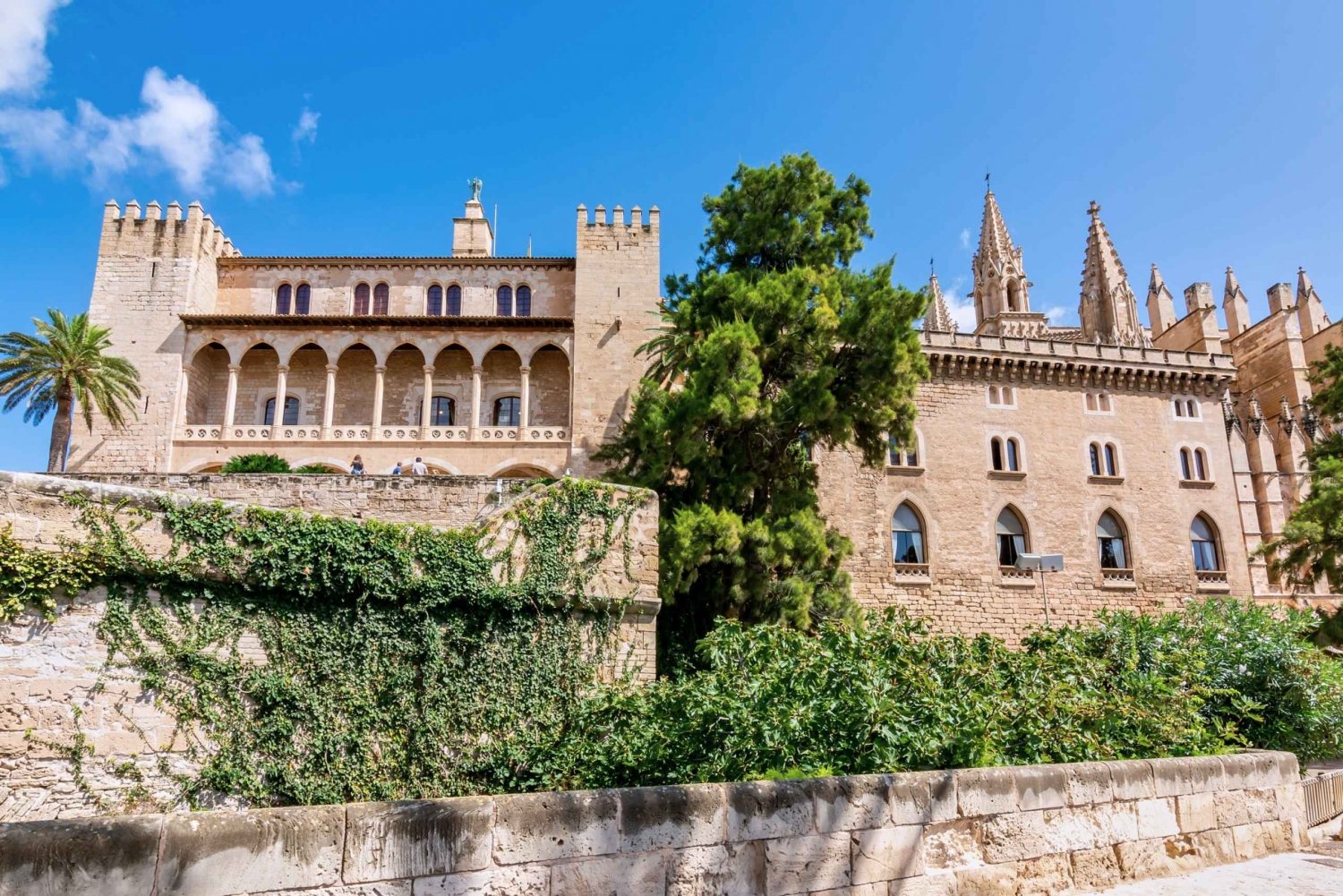 Palma de Maiorca: Bilhete de entrada do Palácio La Almudaina