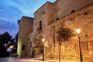Palma de Mallorca: La Almudainan palatsin sisäänpääsylippu