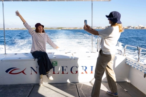 Palma de Mallorca: local fishing activity