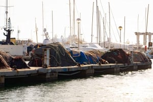 Palma de Mallorca: local fishing activity